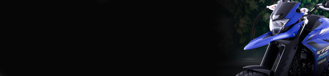 BWS 2 DISEÑO EDITABLE