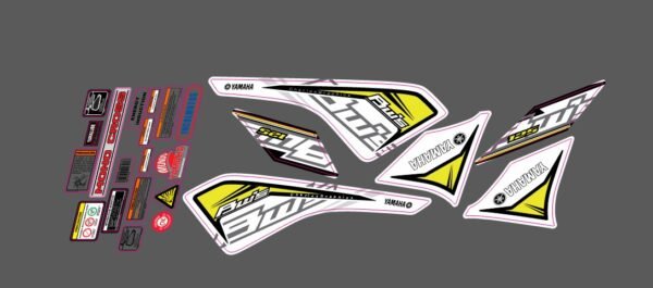 BWS 2 DISEÑO EDITABLE